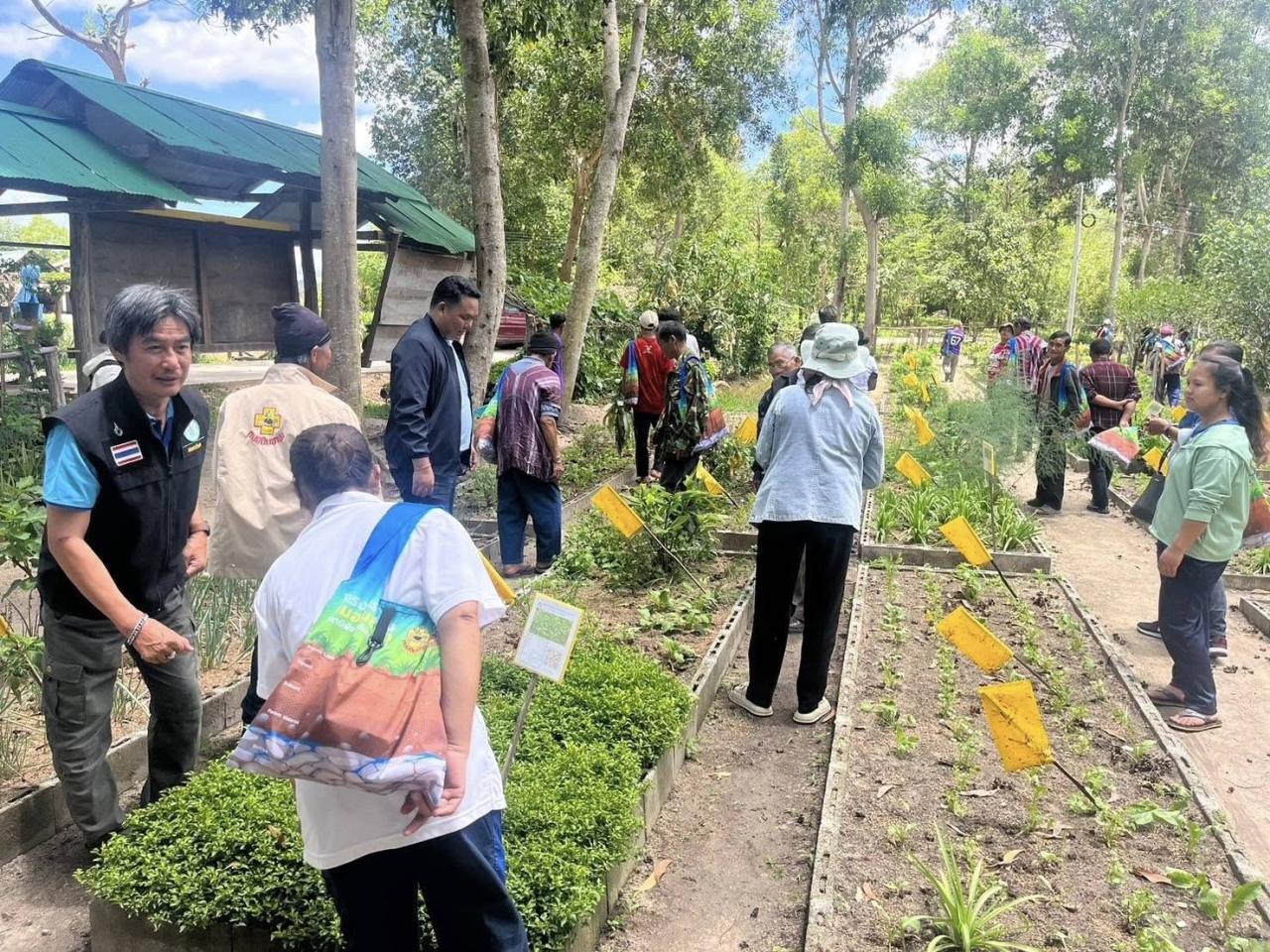 ภาพประกอบที่ 1