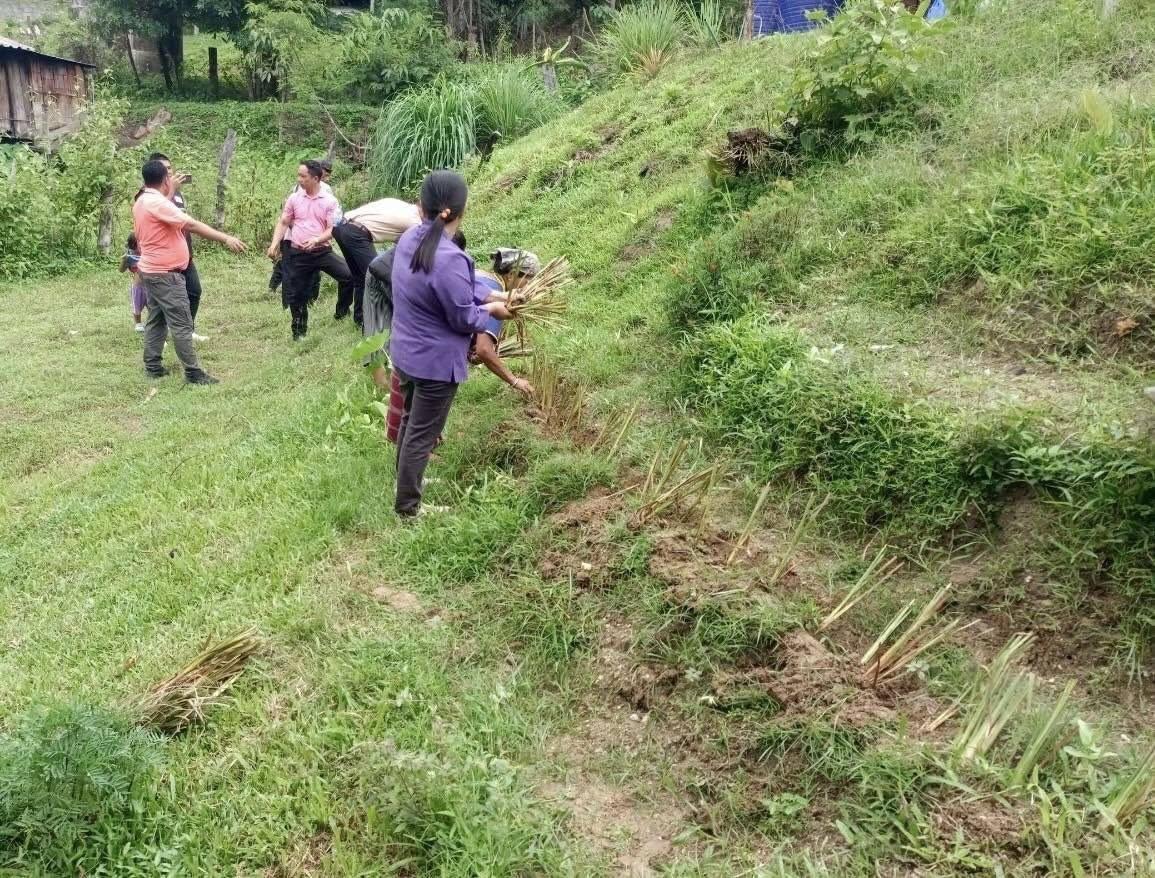 ภาพประกอบที่ 5