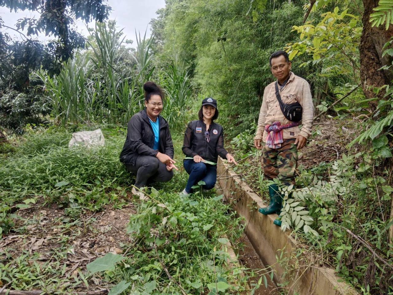 ภาพประกอบที่ 0