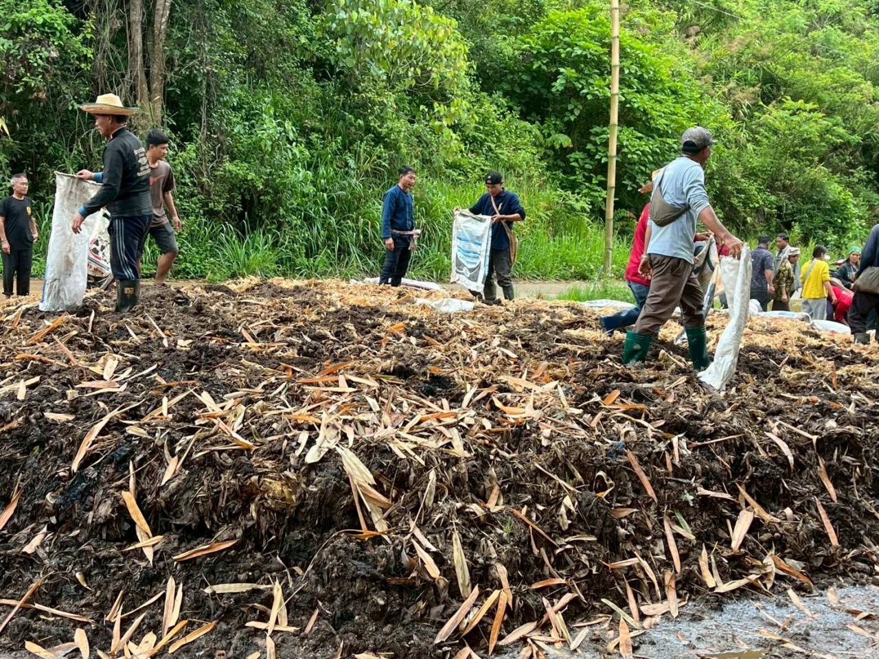 ภาพประกอบที่ 2