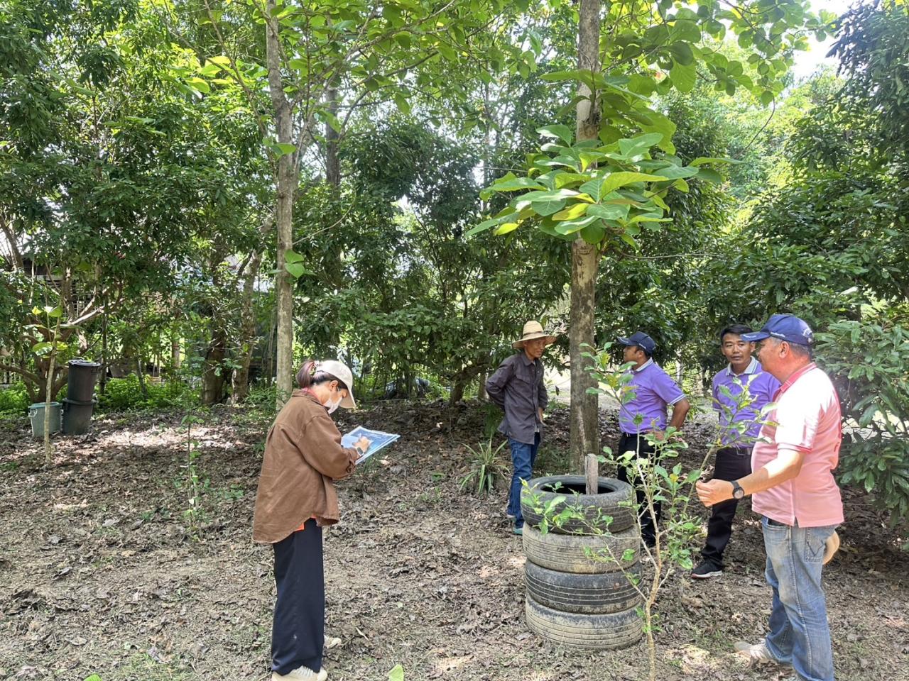 ภาพประกอบที่ 1