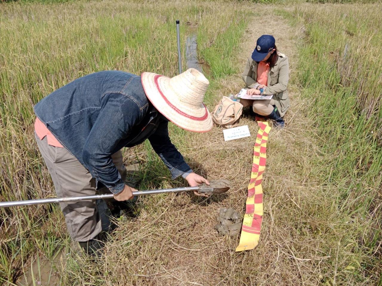 ภาพประกอบที่ 2