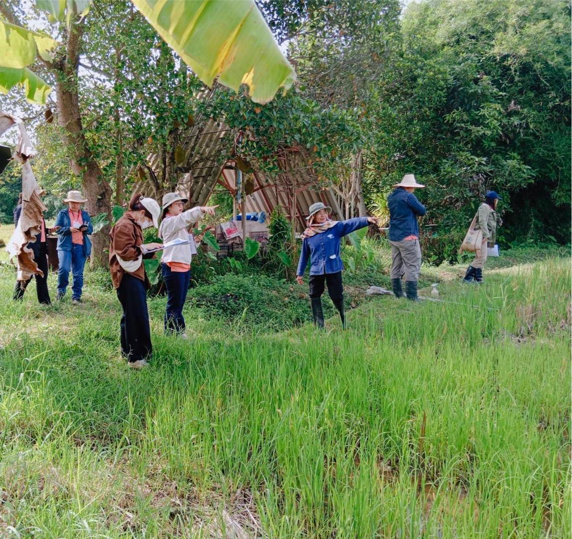 ภาพประกอบที่ 4