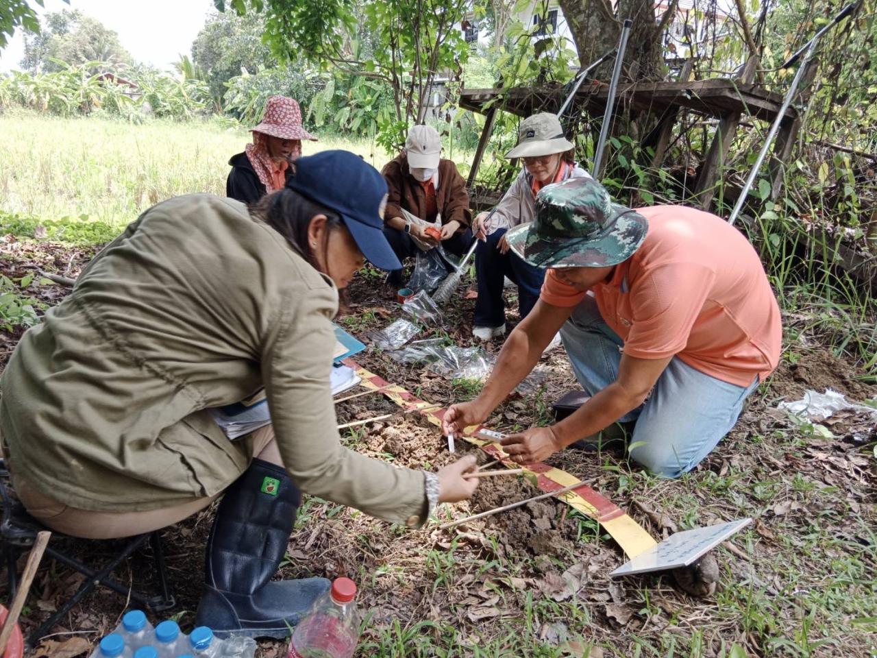 ภาพประกอบที่ 5