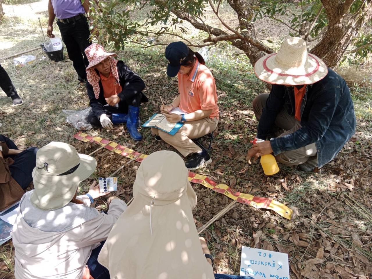ภาพประกอบที่ 6