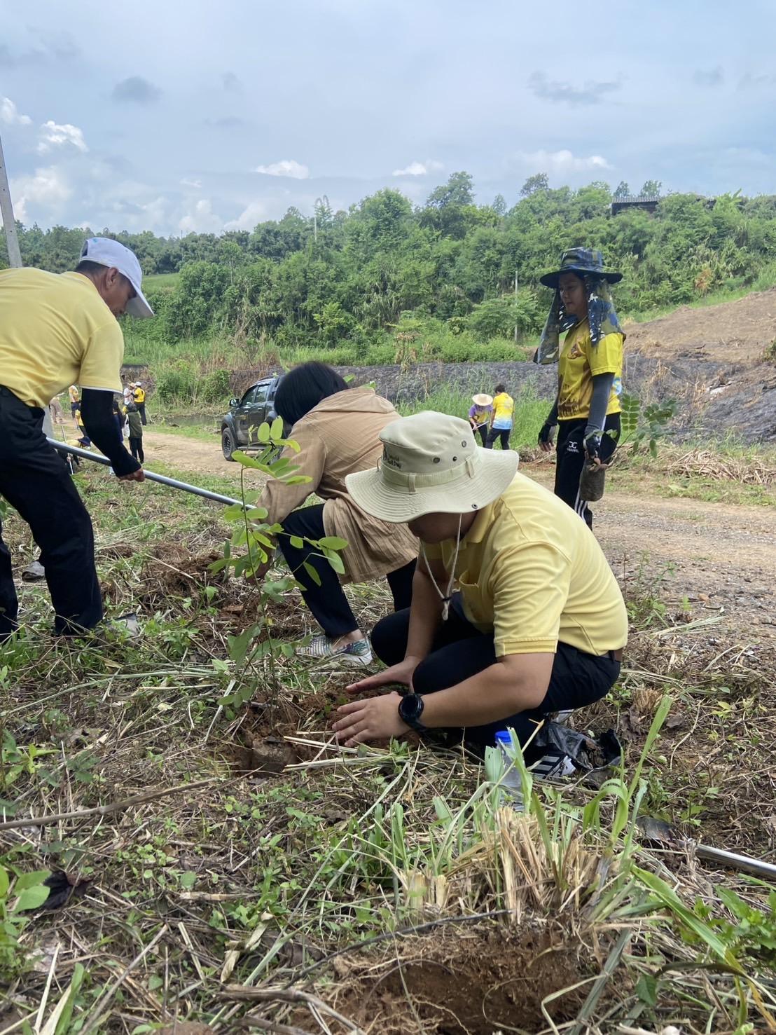 ภาพประกอบที่ 4