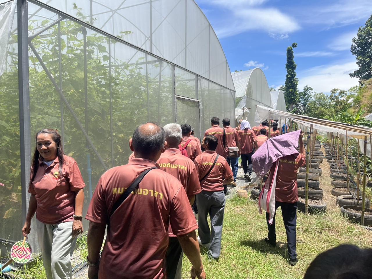 ภาพประกอบที่ 8