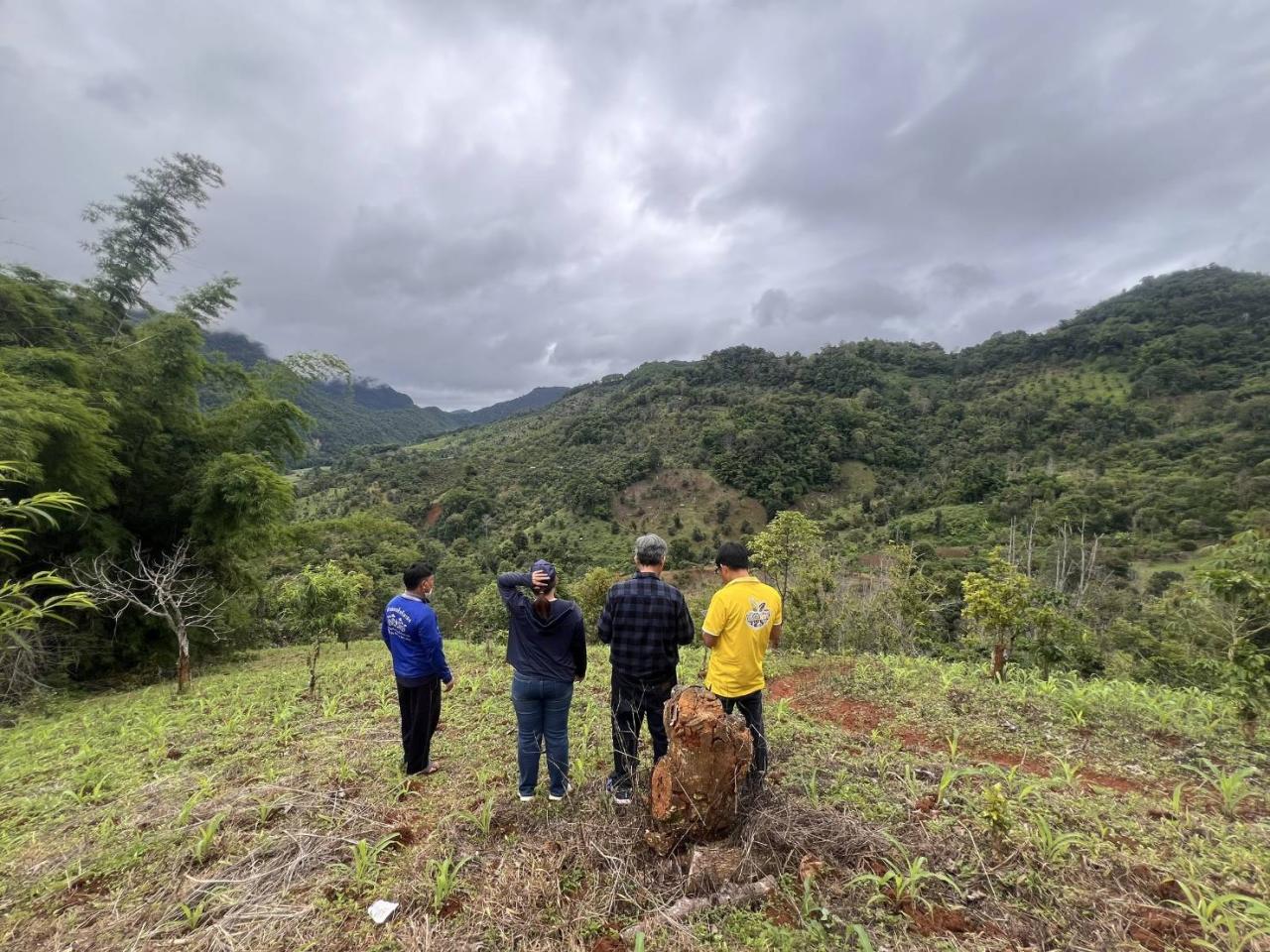 ภาพประกอบที่ 0