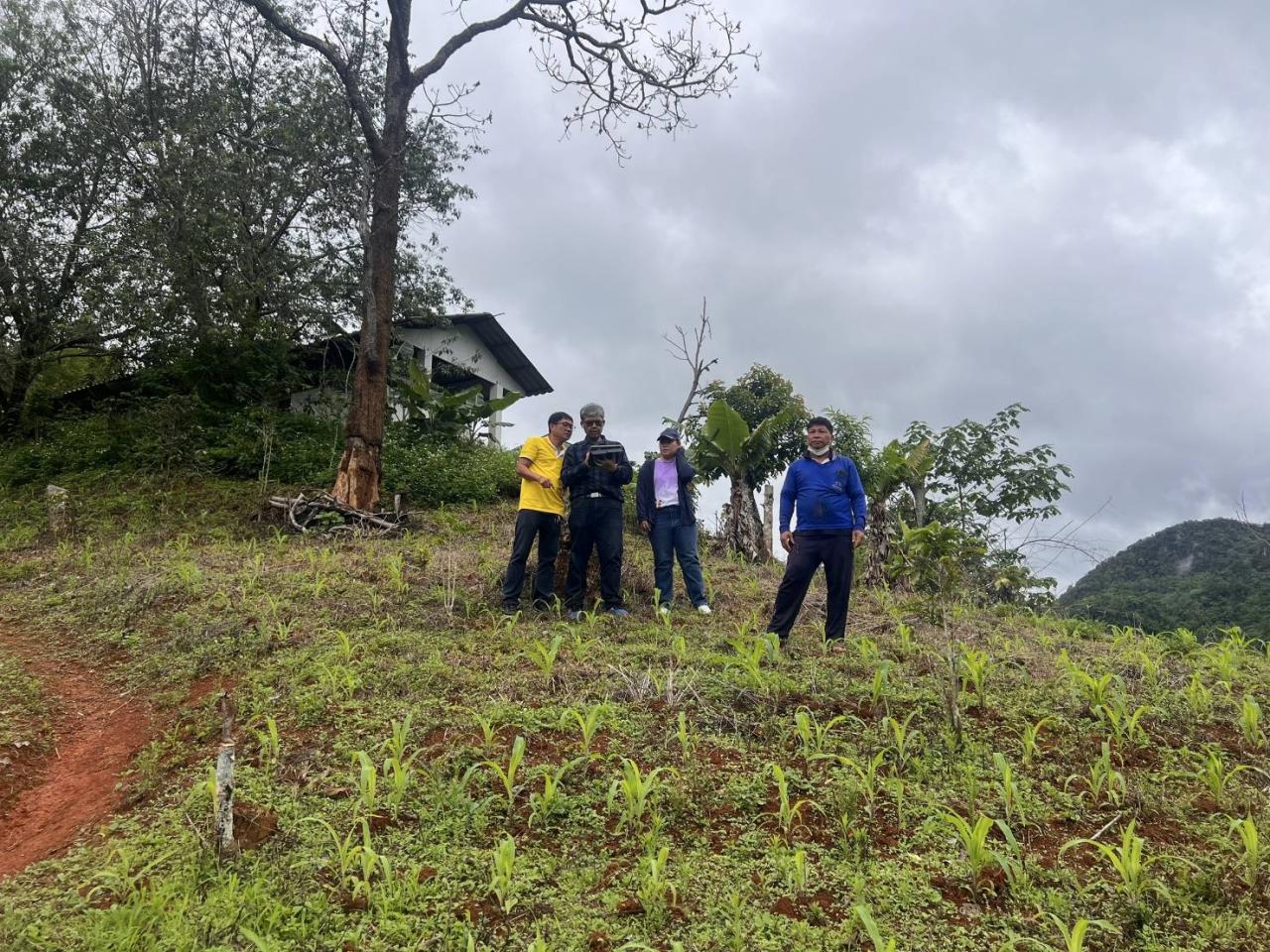 ภาพประกอบที่ 1