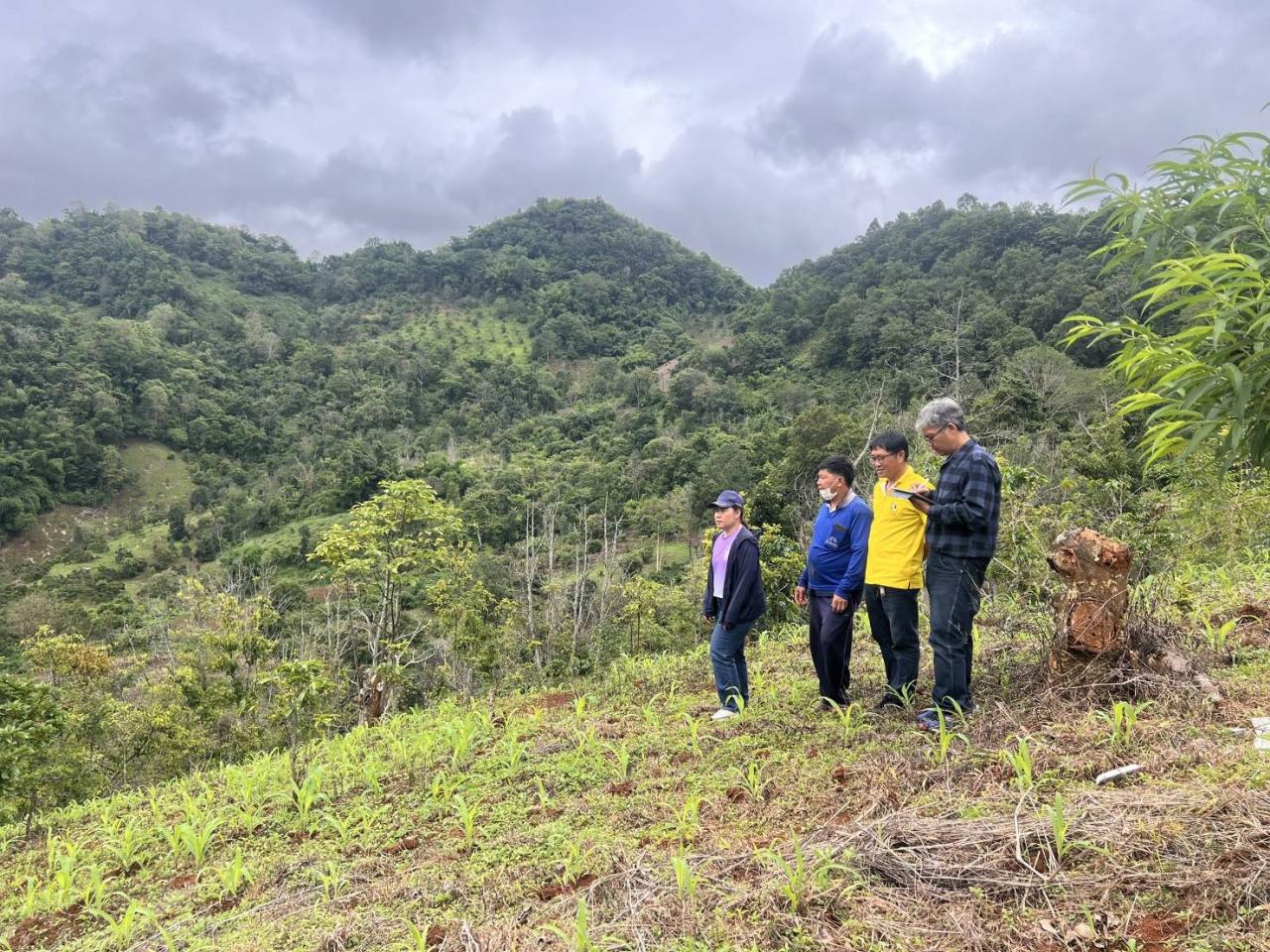 ภาพประกอบที่ 2