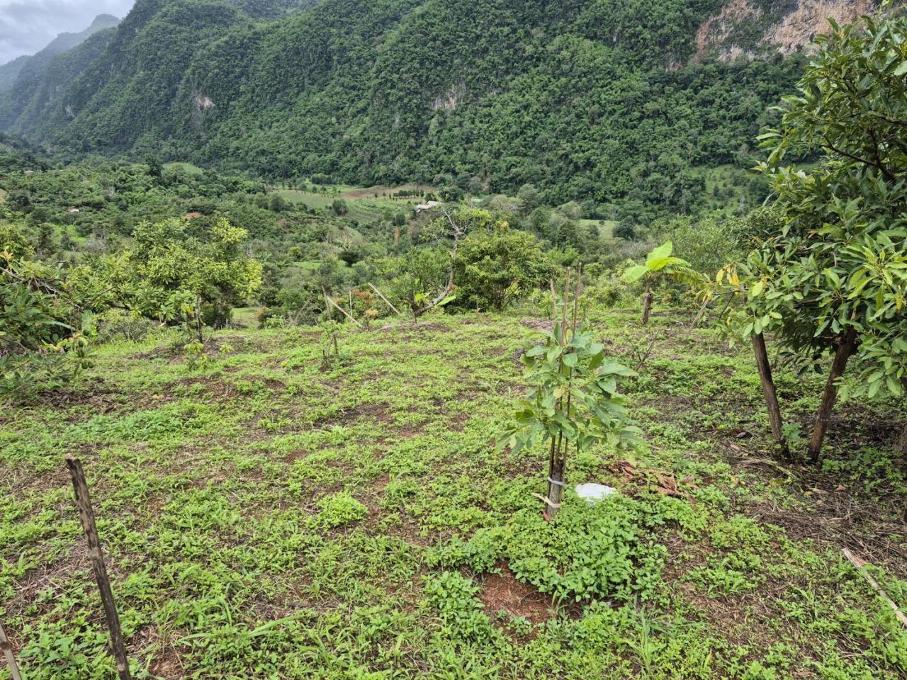 ภาพประกอบที่ 4