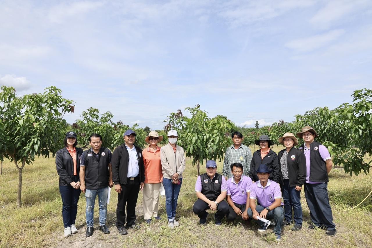 ภาพประกอบที่ 0