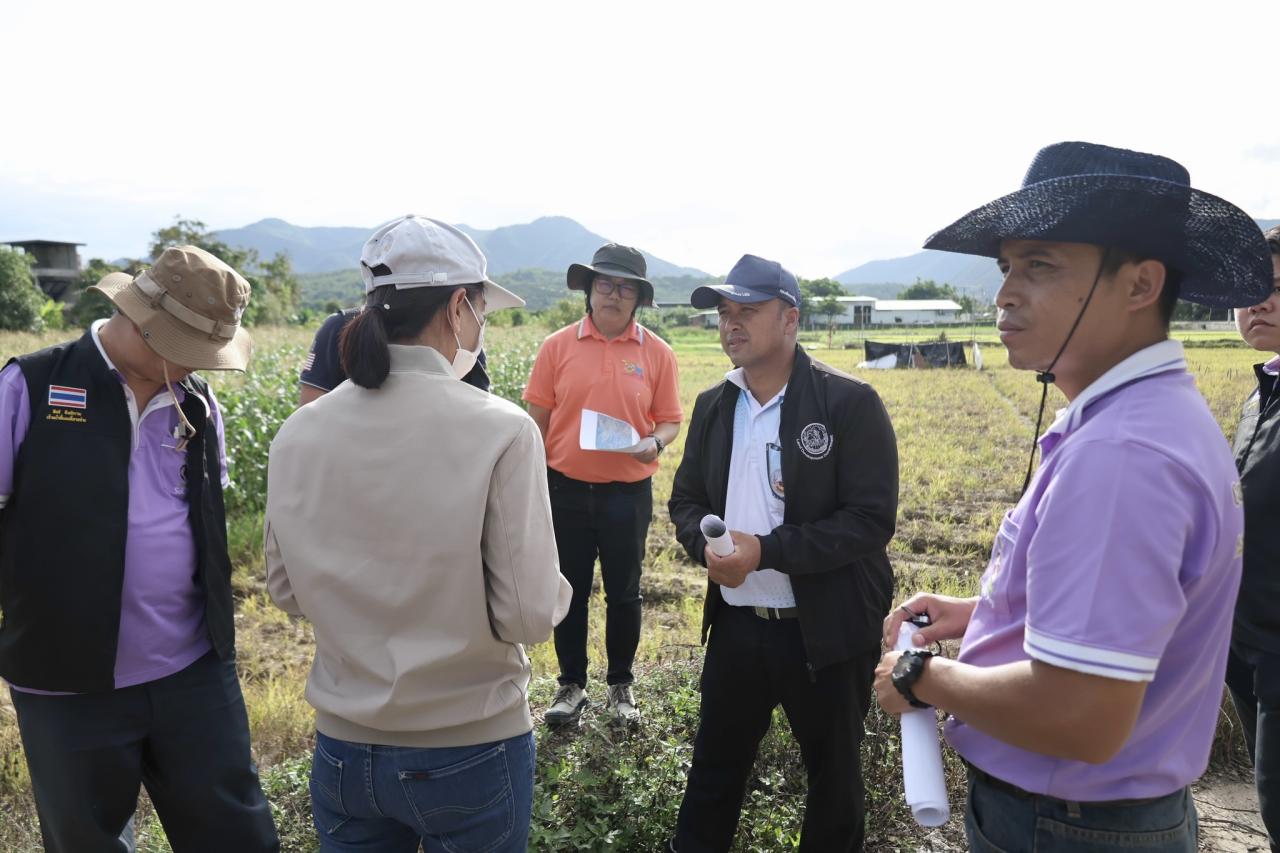 ภาพประกอบที่ 4