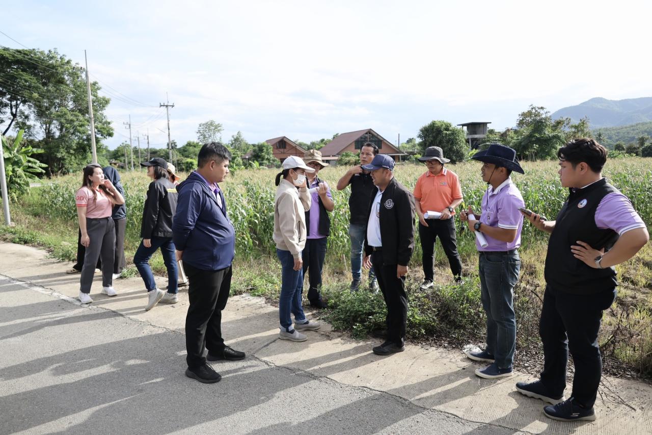 ภาพประกอบที่ 5