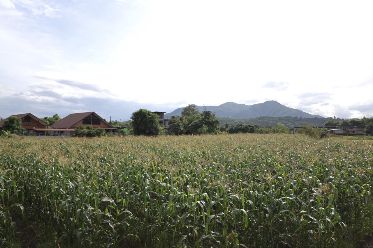 ภาพประกอบที่ 6