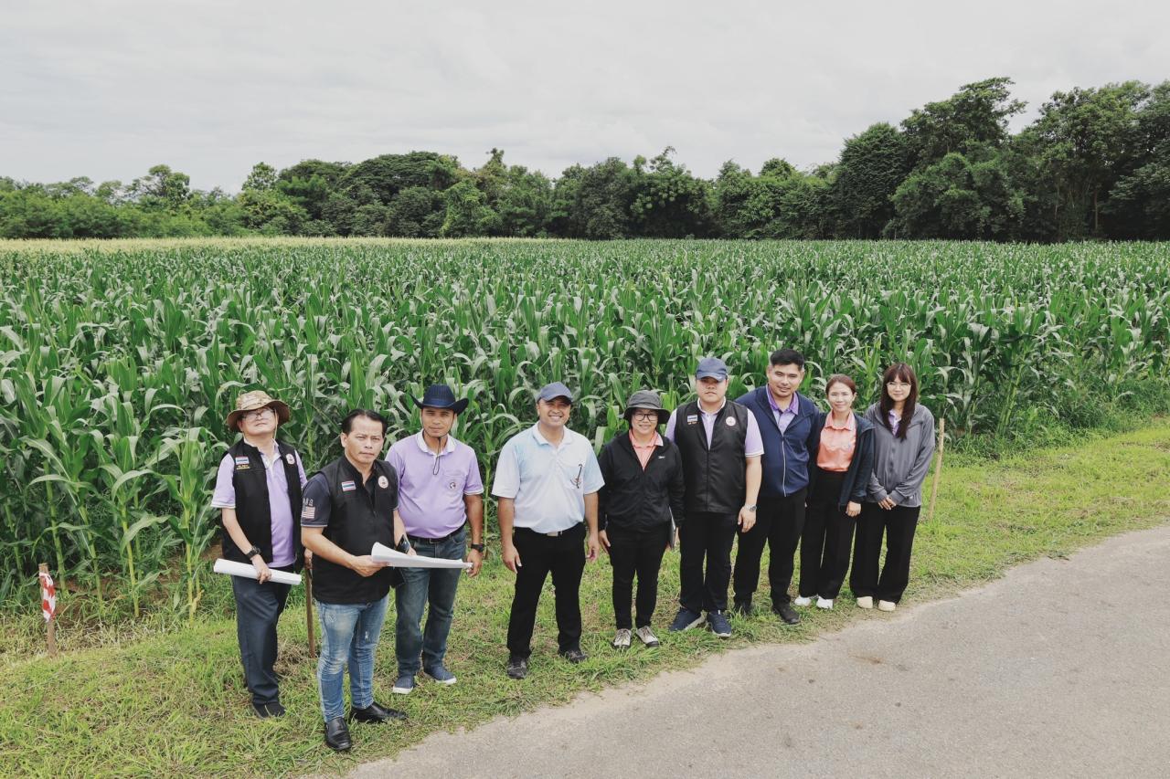 ภาพประกอบที่ 17