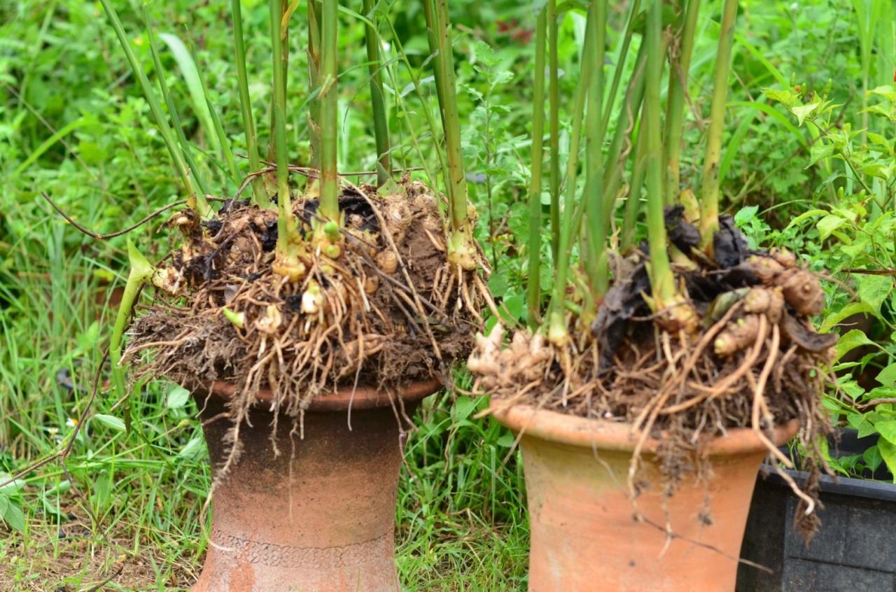 ภาพประกอบที่ 6