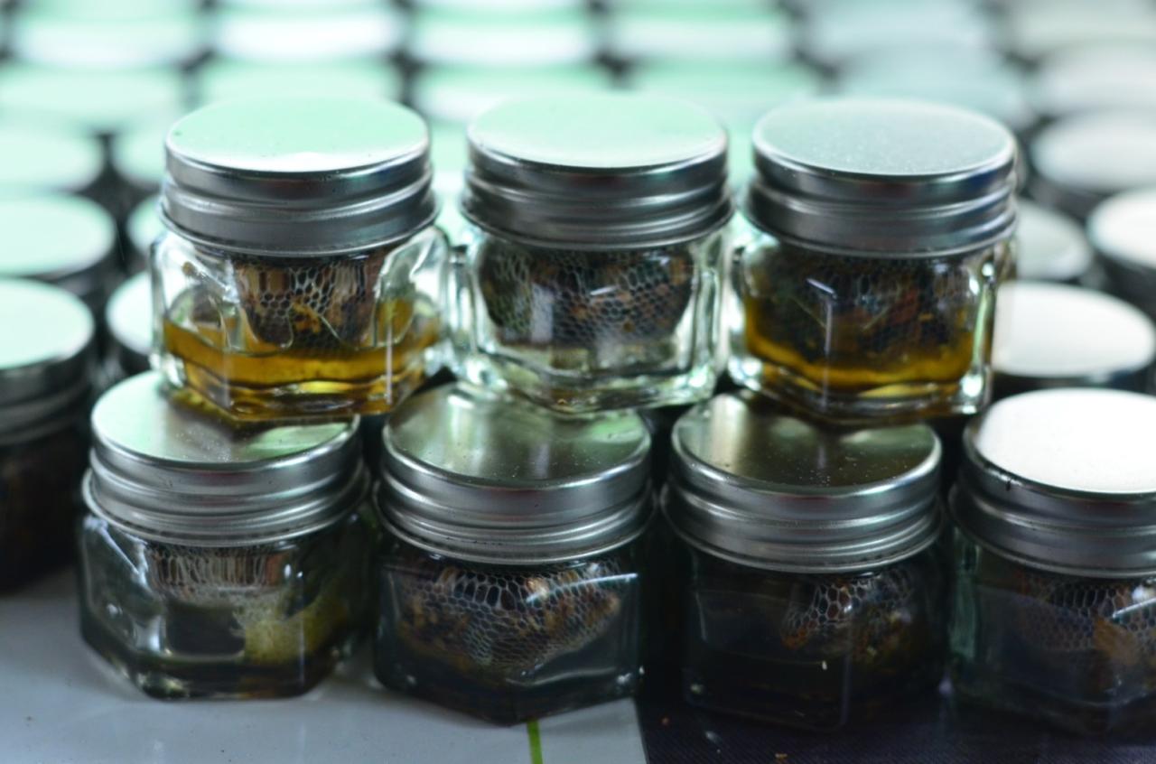 ภาพประกอบที่ 8