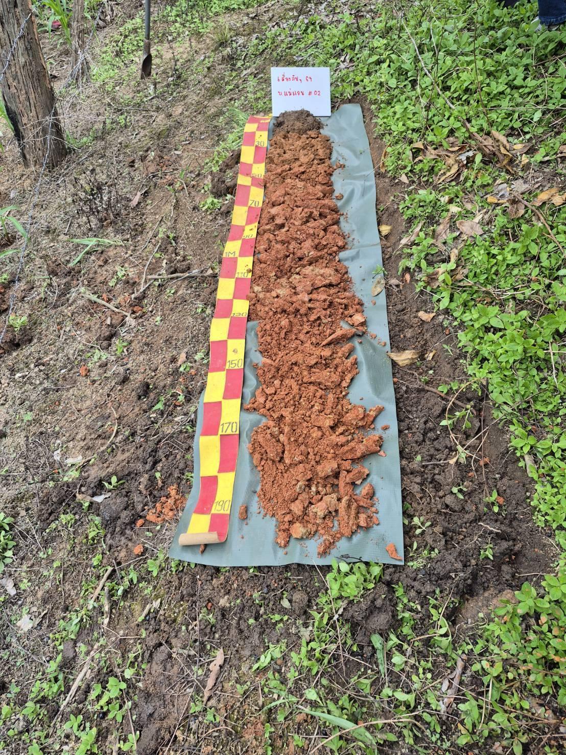 ภาพประกอบที่ 0