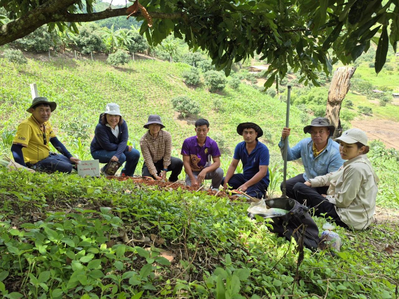 ภาพประกอบที่ 2