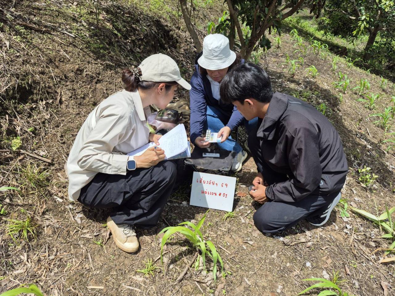 ภาพประกอบที่ 5