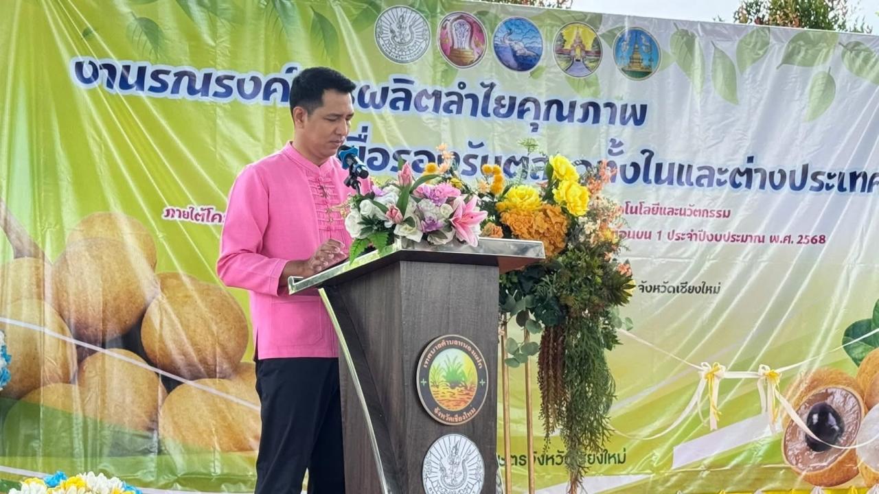 ภาพประกอบที่ 8