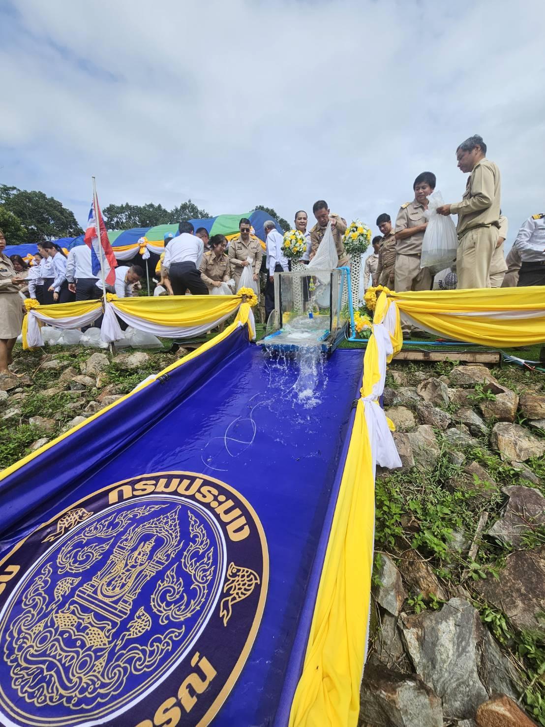 ภาพประกอบที่ 2