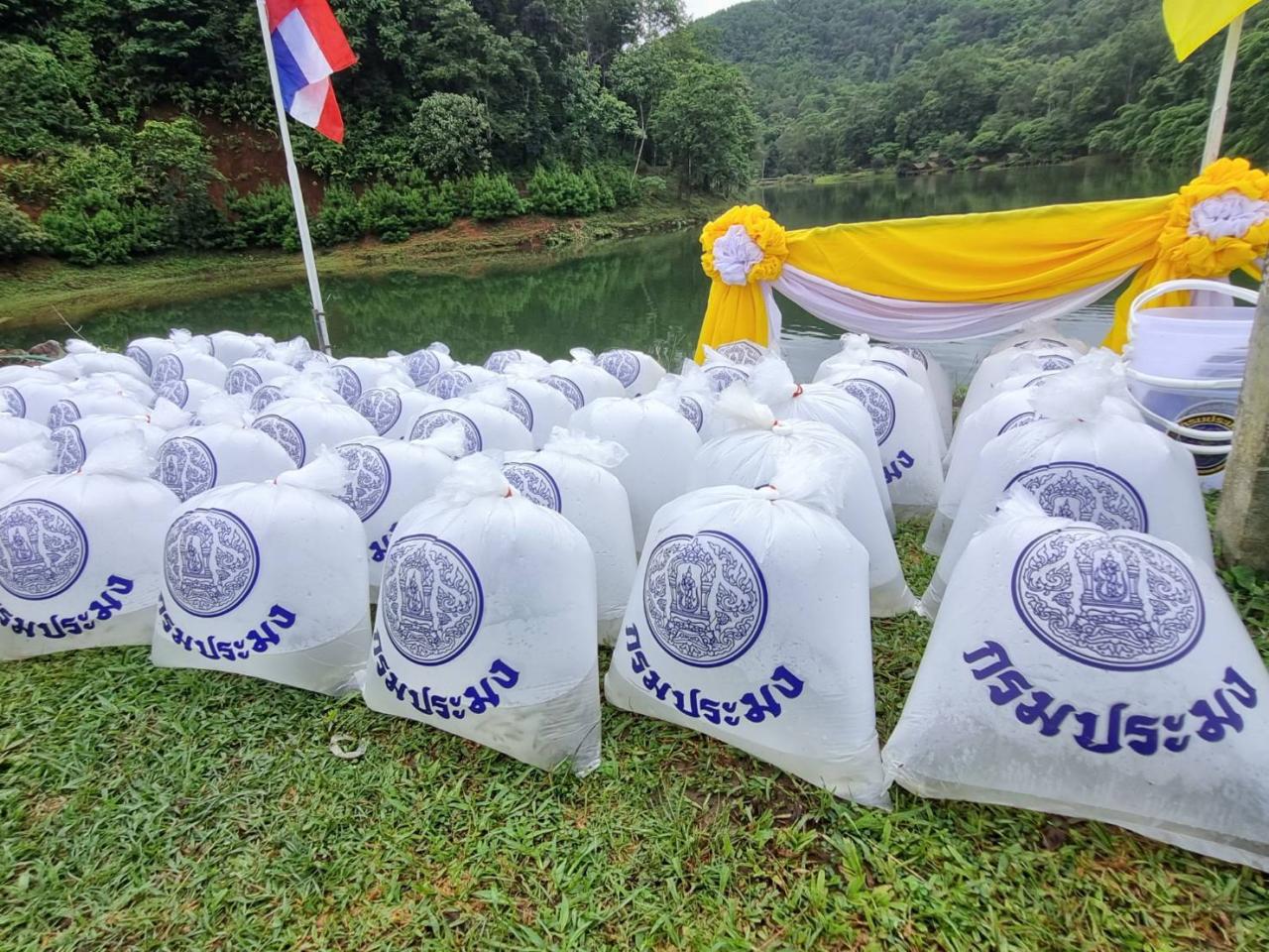 ภาพประกอบที่ 6