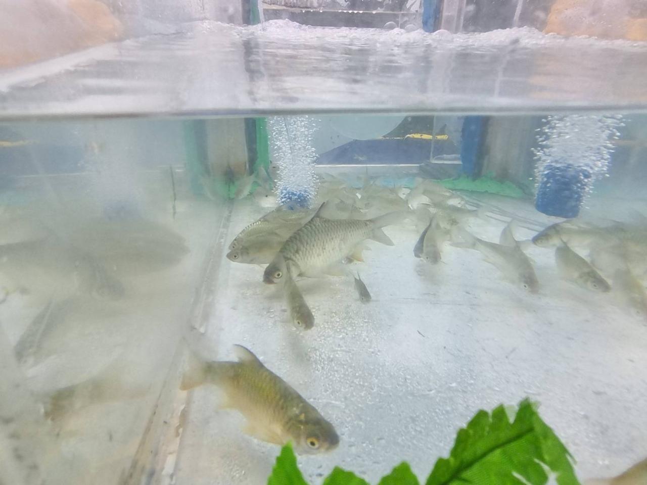 ภาพประกอบที่ 7