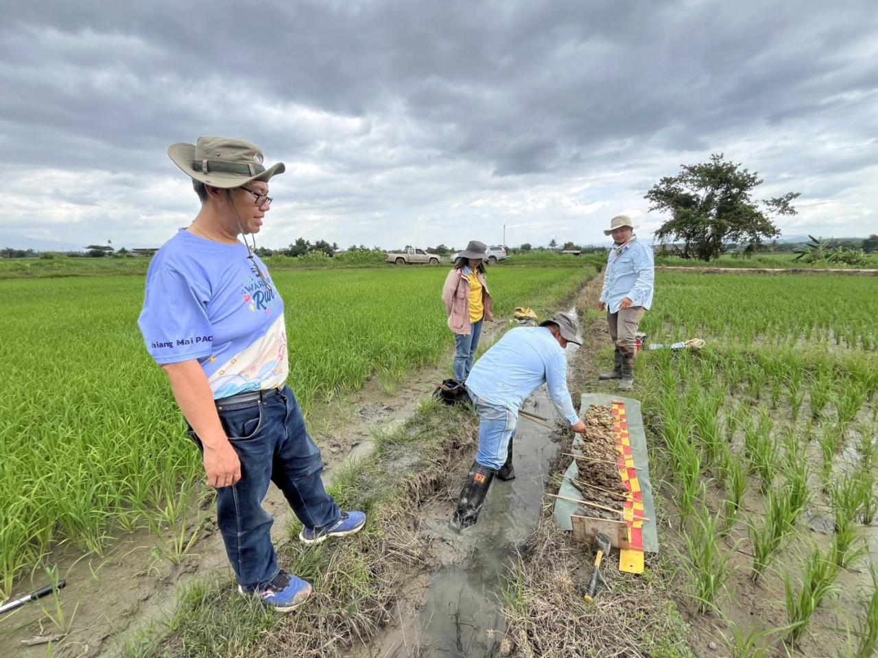ภาพประกอบที่ 1
