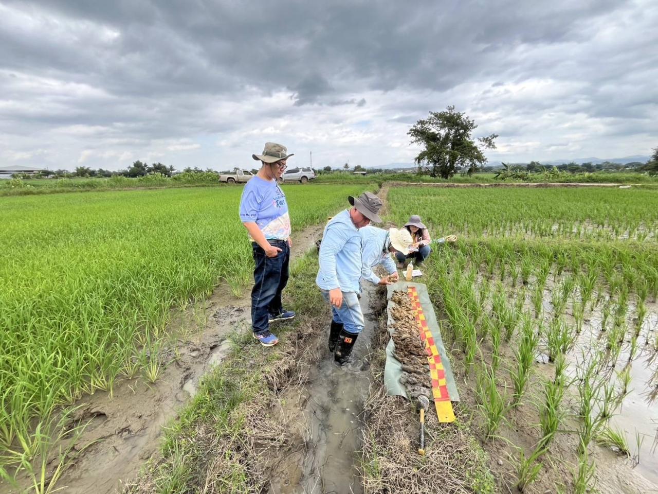 ภาพประกอบที่ 2