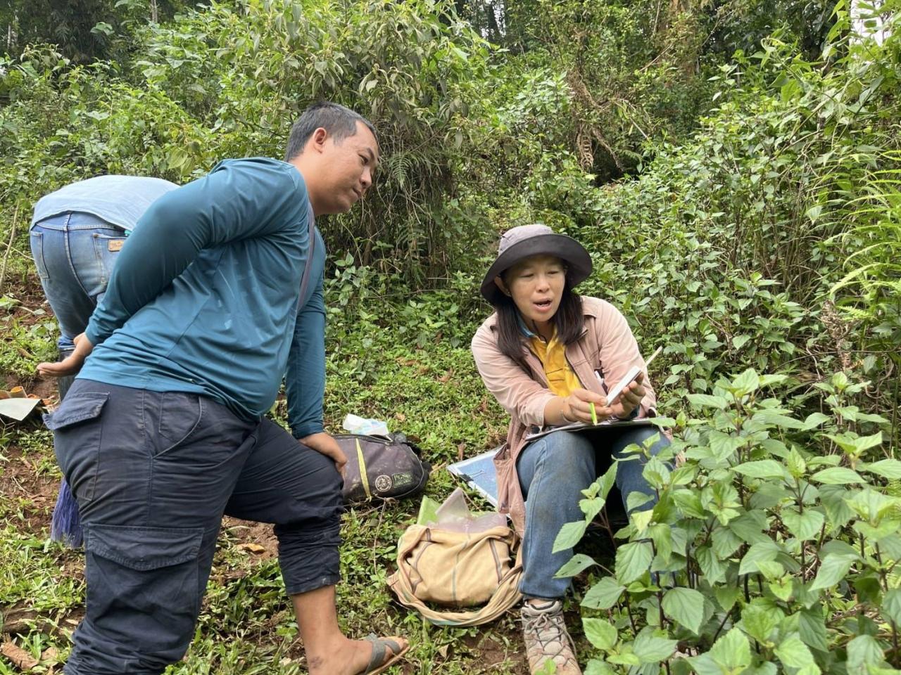 ภาพประกอบที่ 5