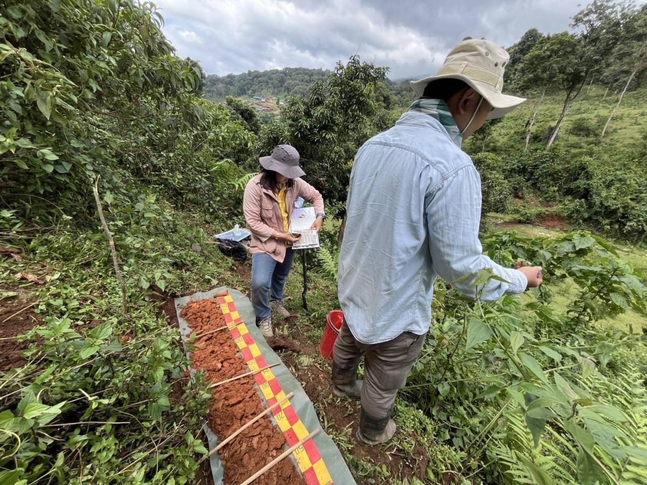 ภาพประกอบที่ 6