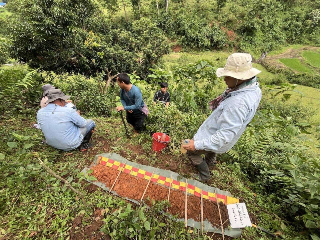 ภาพประกอบที่ 7