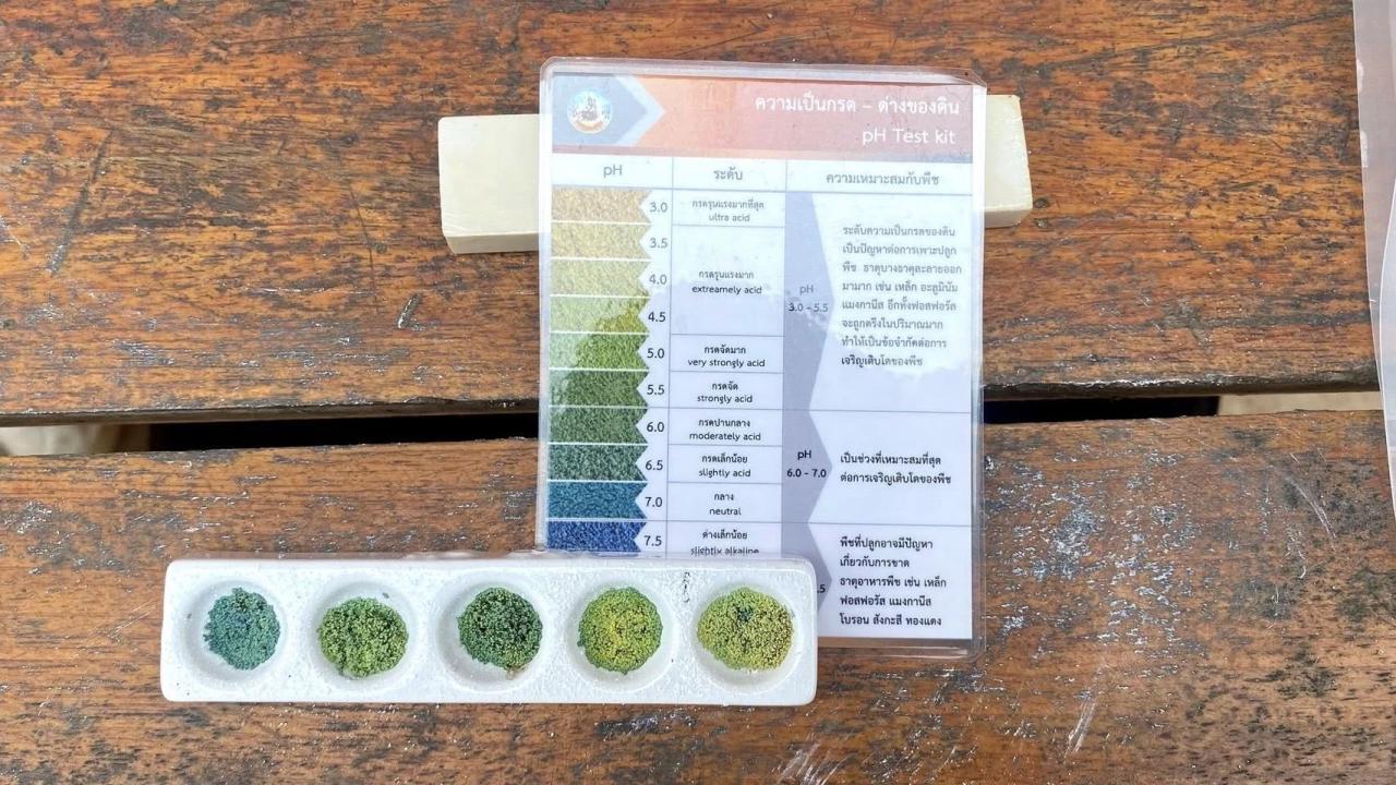 ภาพประกอบที่ 7