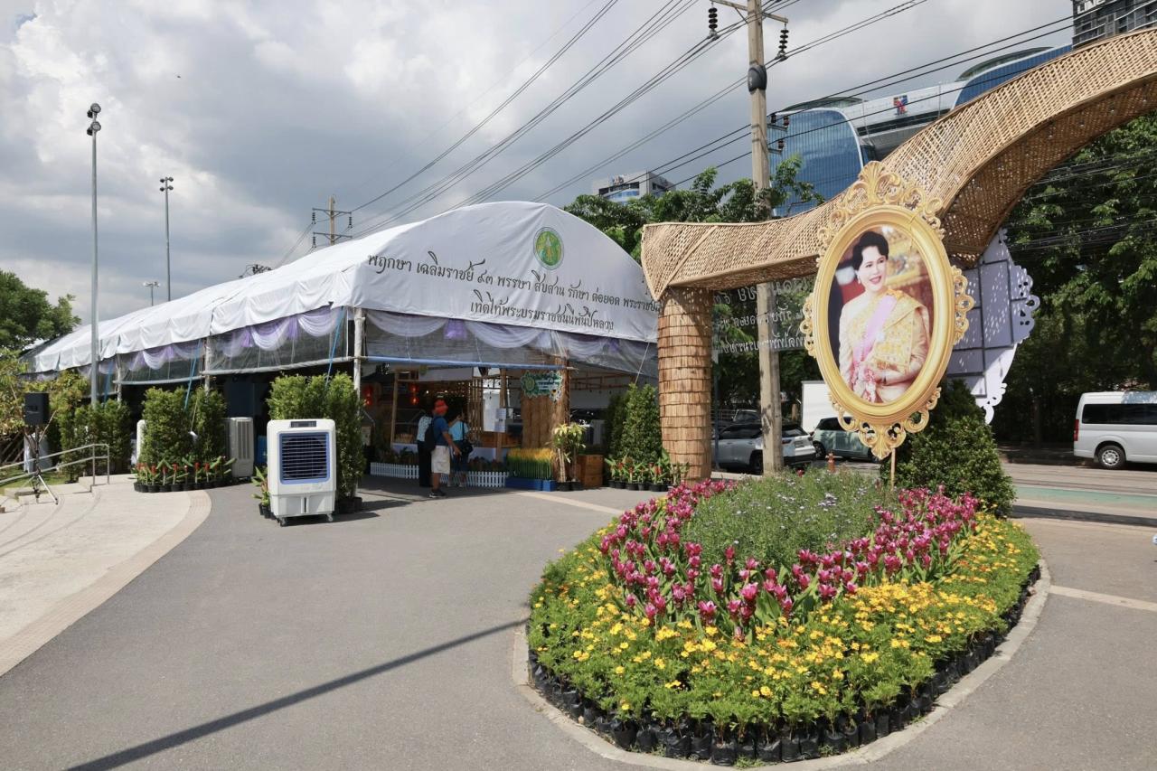 ภาพประกอบที่ 5