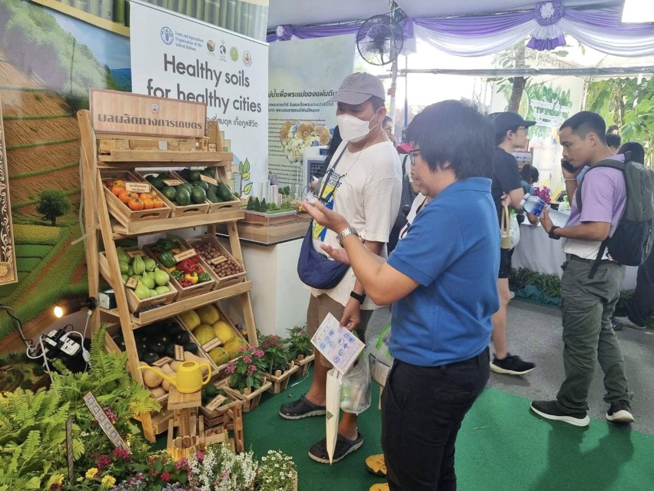 ภาพประกอบที่ 12