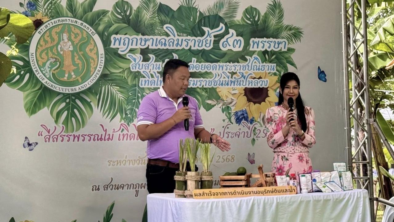 ภาพประกอบที่ 2