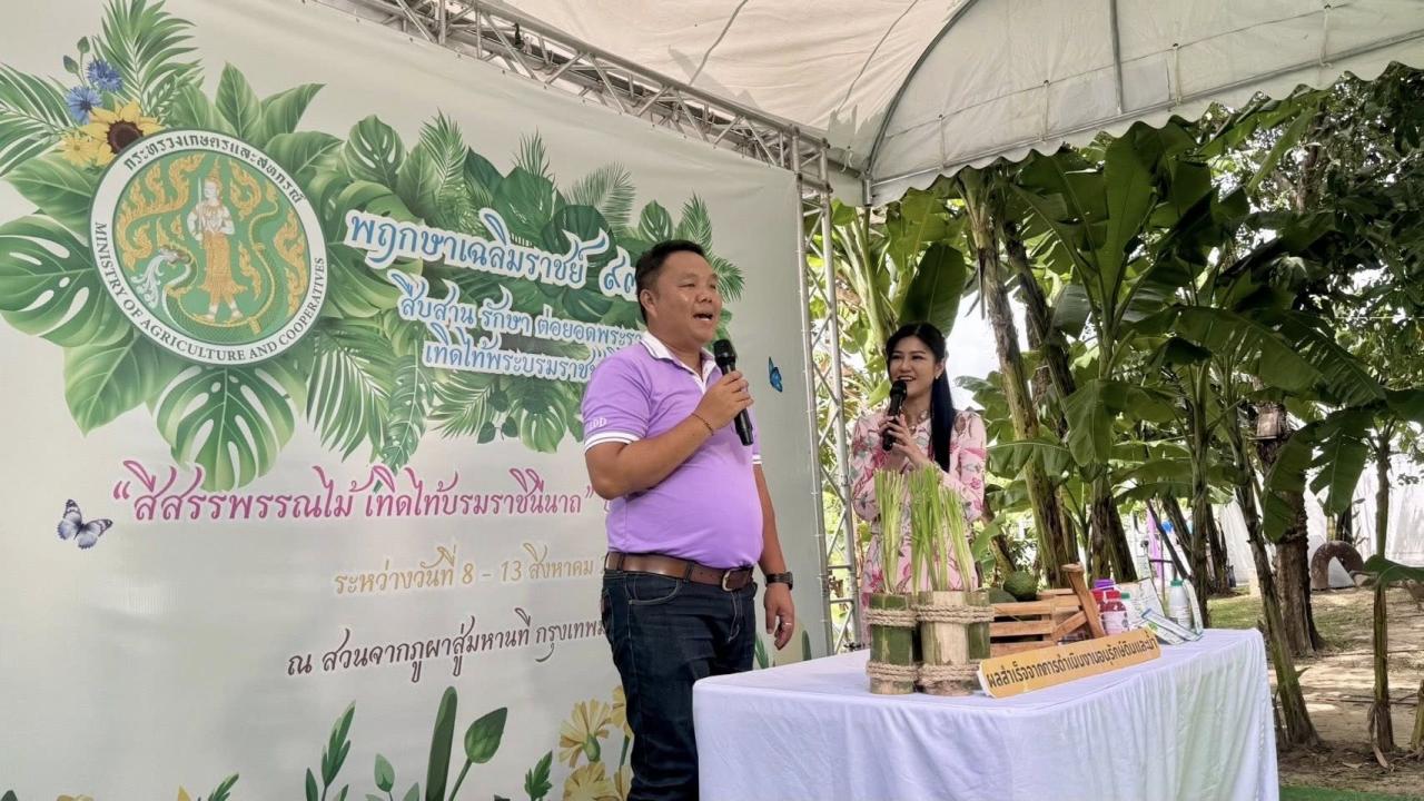 ภาพประกอบที่ 5