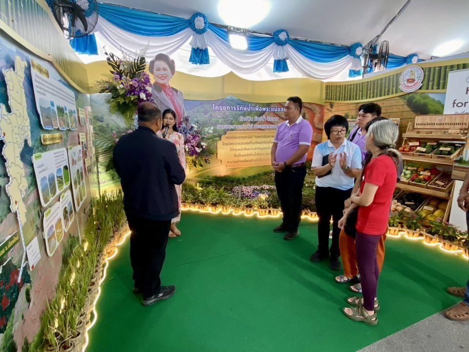 ภาพประกอบที่ 11