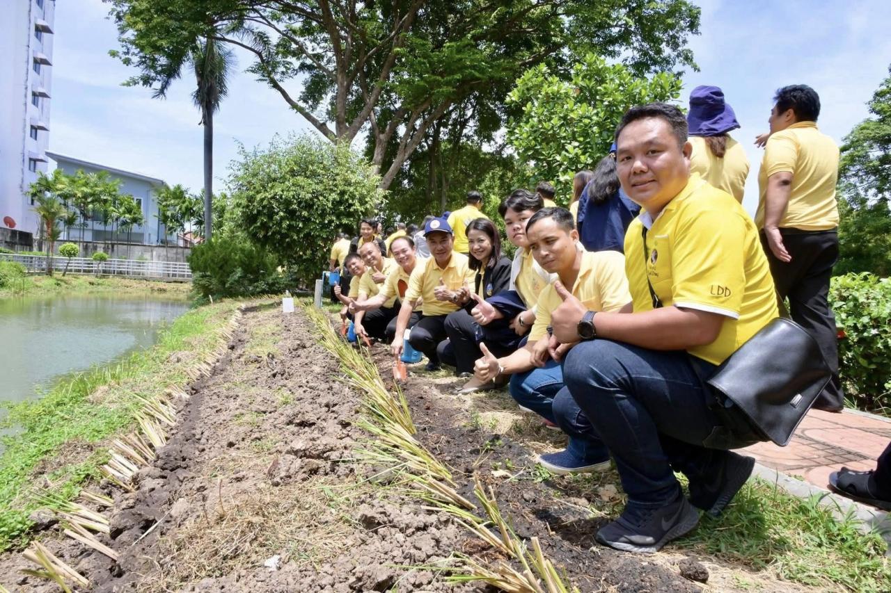 ภาพประกอบที่ 11