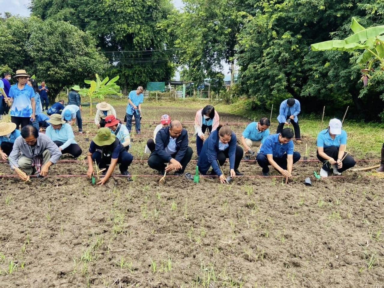 ภาพประกอบที่ 1