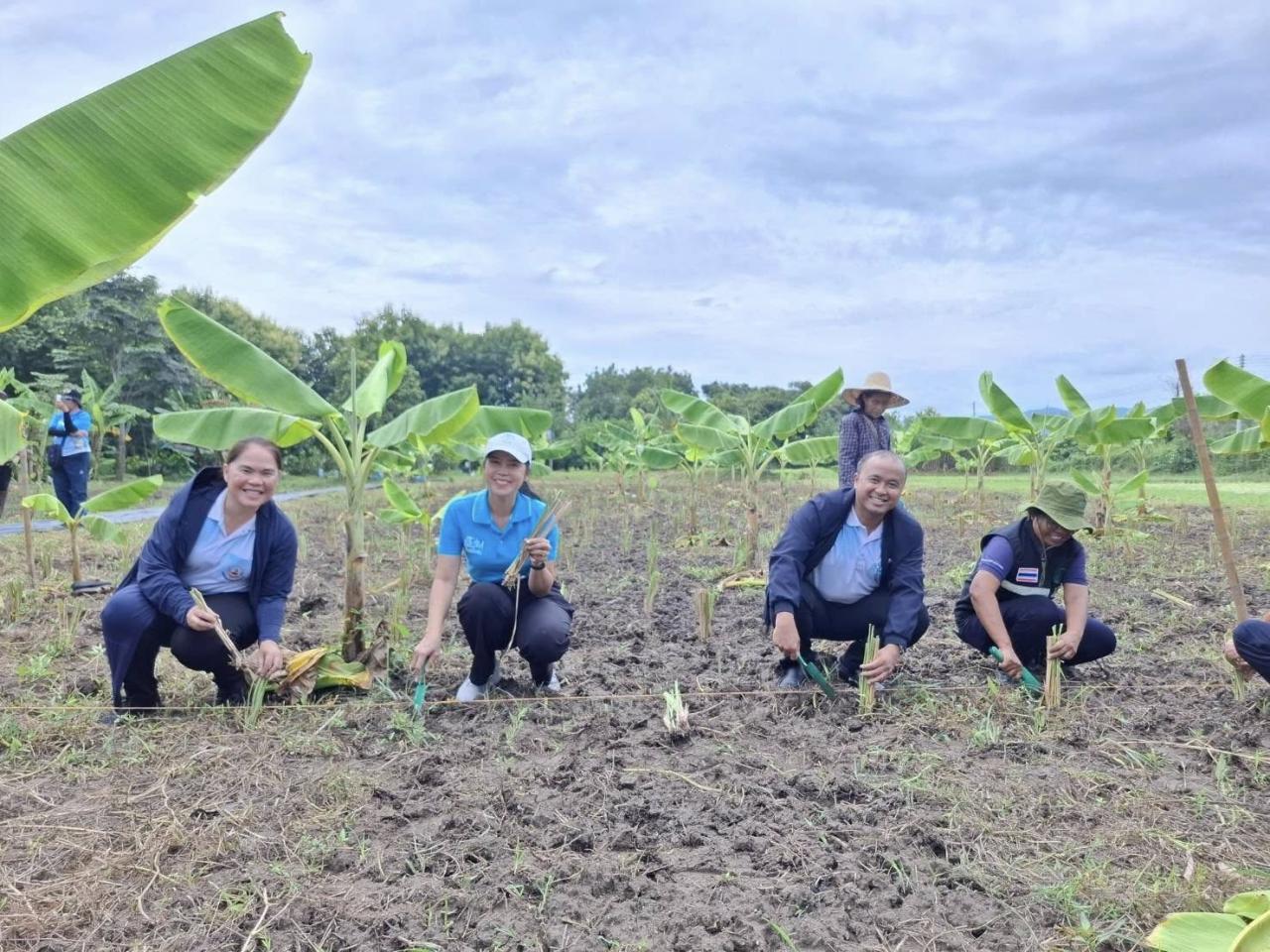 ภาพประกอบที่ 4