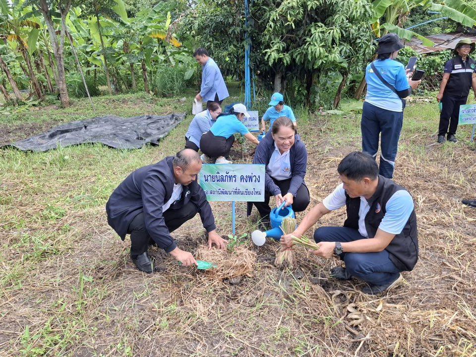 ภาพประกอบที่ 5