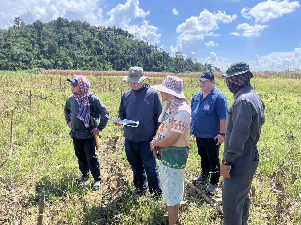 ภาพประกอบที่ 3
