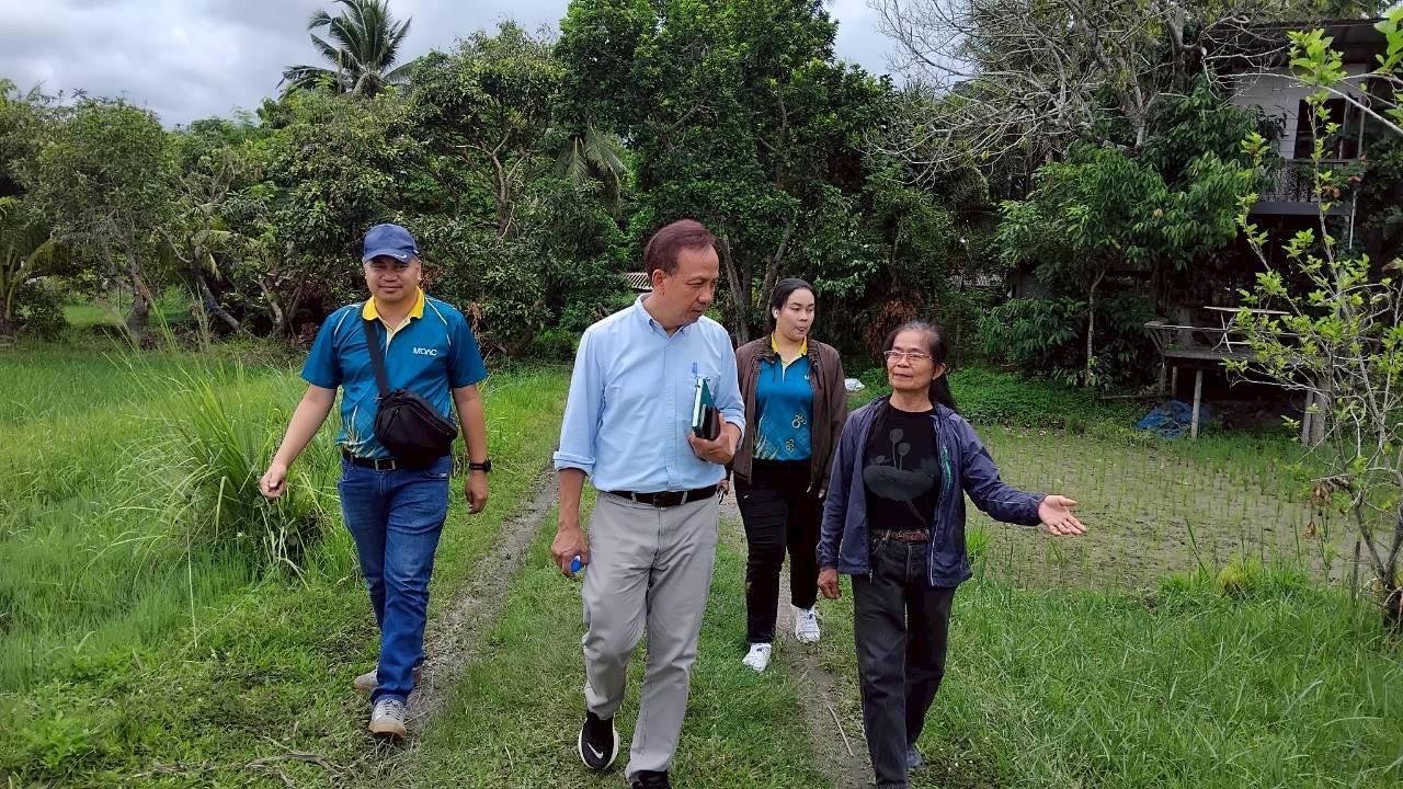 ภาพประกอบที่ 1