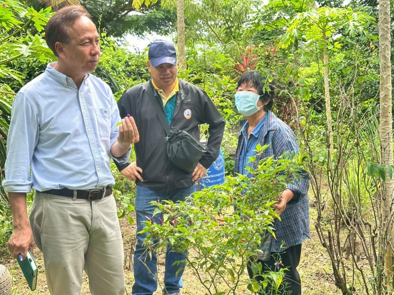 ภาพประกอบที่ 2