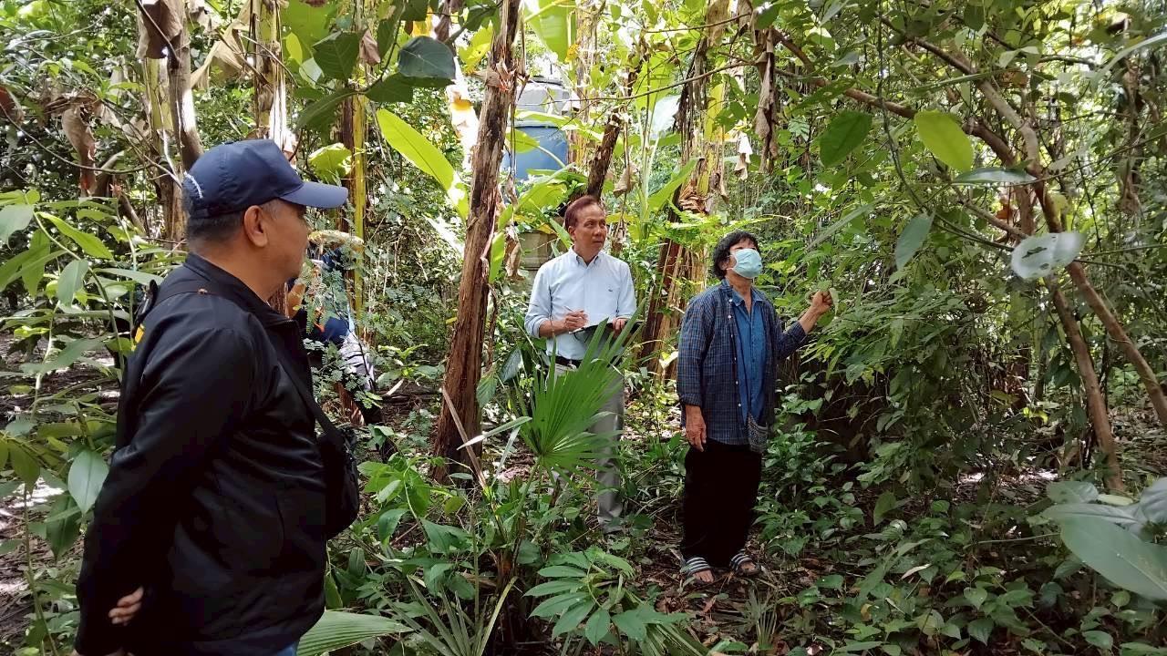 ภาพประกอบที่ 4