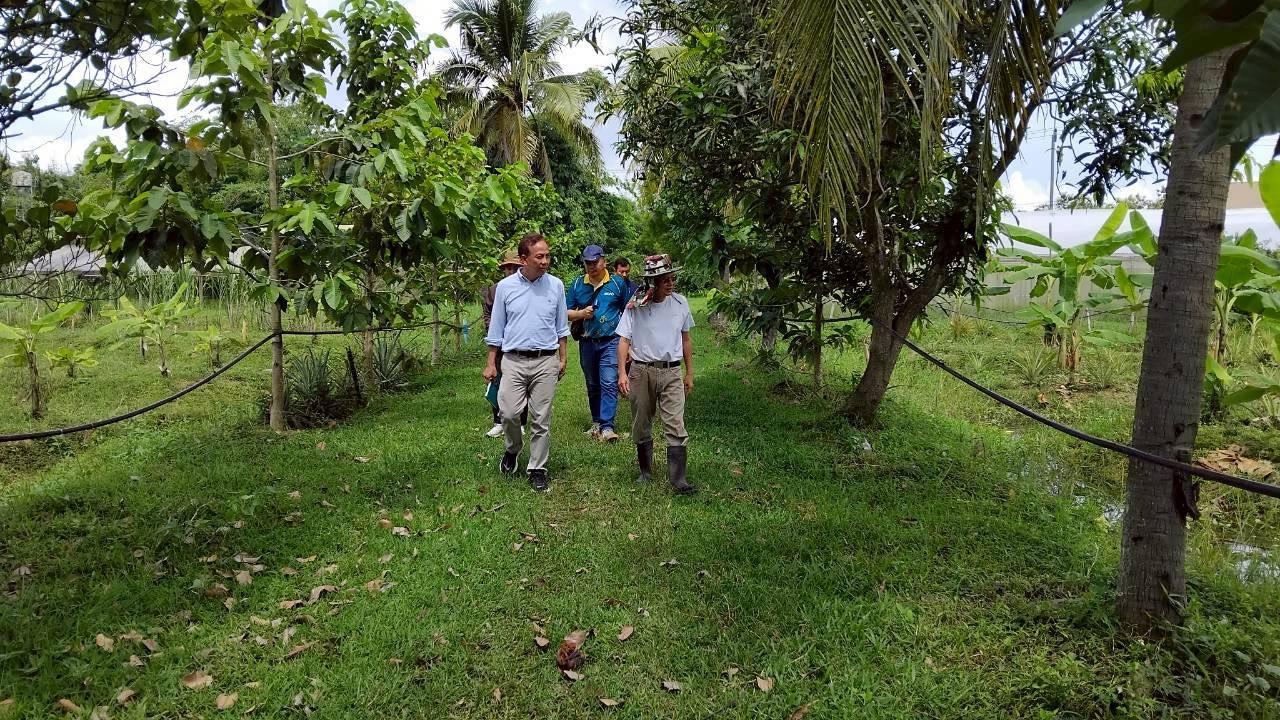 ภาพประกอบที่ 10