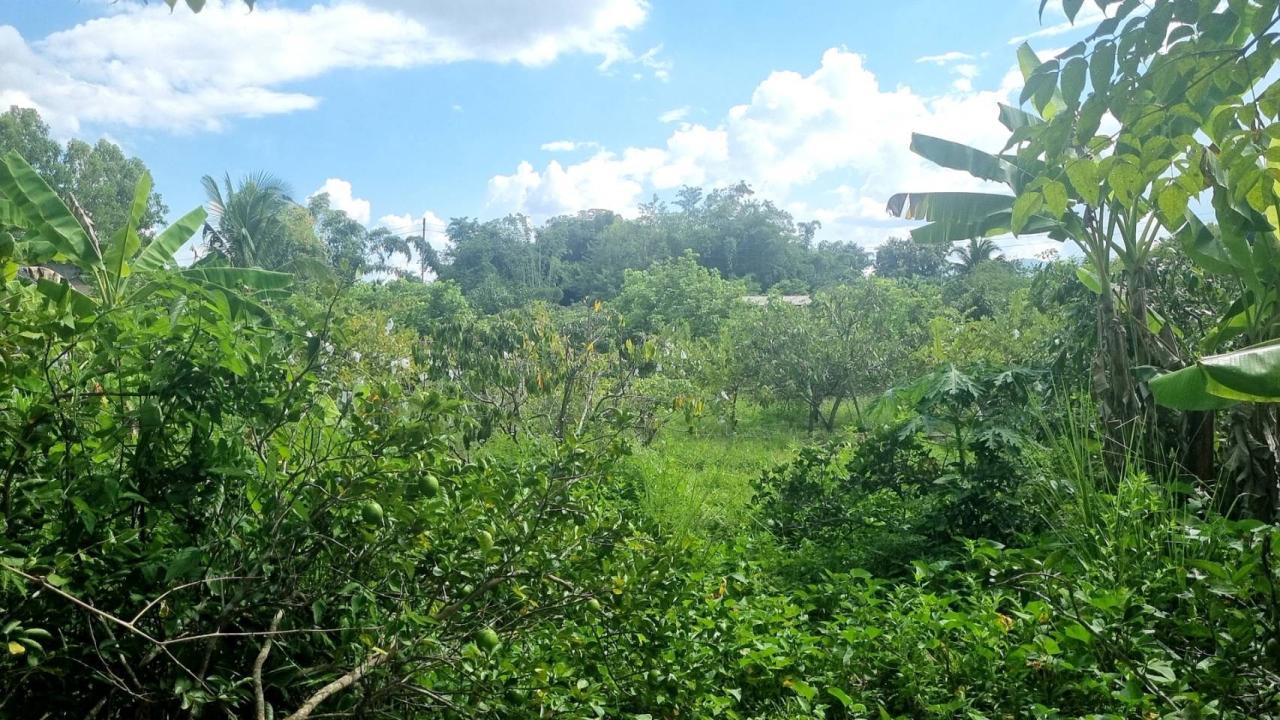 ภาพประกอบที่ 0